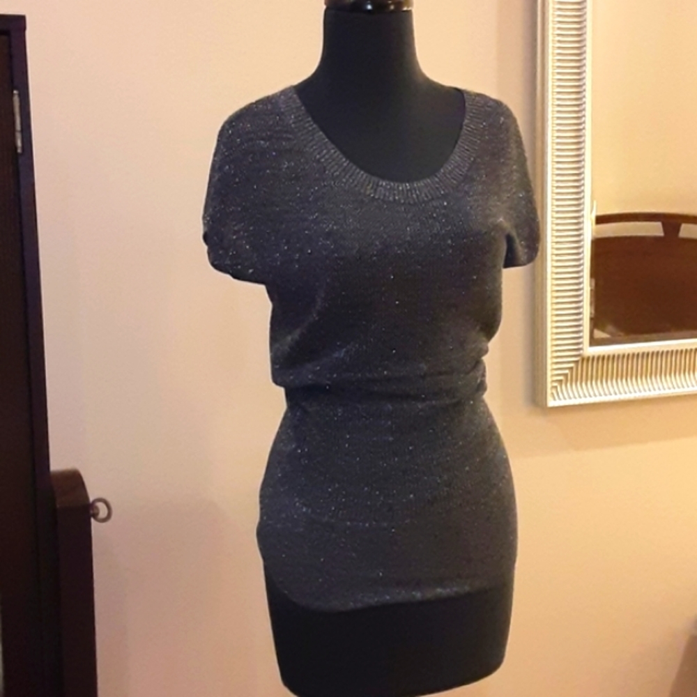 Express gray sheer sparkle knit sweater S